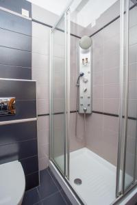 W łazience znajduje się prysznic ze szklanymi drzwiami. w obiekcie Hotel Adonis w mieście Metsovo