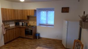 eine kleine Küche mit einem Kühlschrank und einem Fenster in der Unterkunft Apartmán v Ladově kraji in Ondřejov
