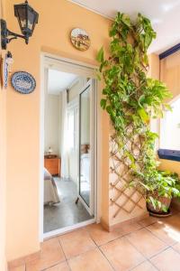 una stanza con una porta con una pianta sul muro di Playa de Los Álamos-Playamar Torremolinos Málaga. a Torremolinos