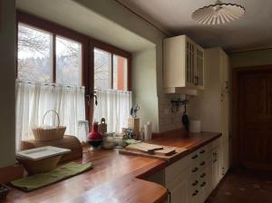 a kitchen with a counter with a sink and a window at Traditional Slovenian house in Vransko