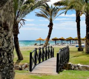 una passerella in legno che conduce alla spiaggia con palme di Playa de Los Álamos-Playamar Torremolinos Málaga. a Torremolinos
