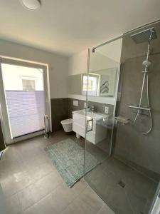 een badkamer met een douche, een toilet en een wastafel bij Moselblick Penthouse mit Terrasse in Koblenz