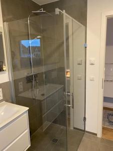 een douche met een glazen deur in de badkamer bij Moselblick Penthouse mit Terrasse in Koblenz