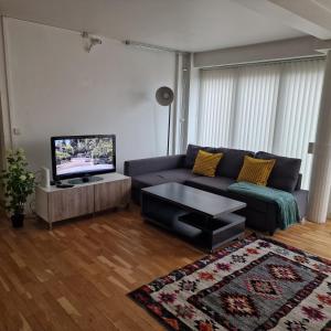 Solace Apartment, Oslo Downtown في أوسلو: غرفة معيشة مع أريكة وتلفزيون
