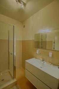 ein Bad mit einem Waschbecken und einer Dusche in der Unterkunft Appartement Cours Général Leclerc AJACCIO in Ajaccio