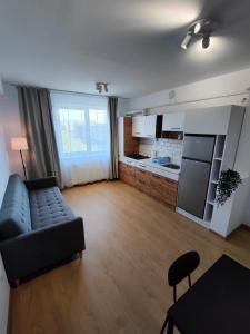 uma sala de estar com um sofá e uma cozinha em Fanea Residence em Timisoara