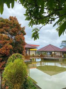 a house with a pond in the middle of a garden at HOTEL KANGURU TIMIKA in Timika