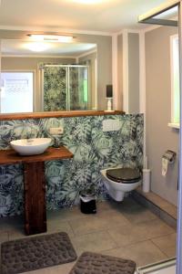 a bathroom with a sink and a toilet in it at Ferienwohnung Irisgarten am Pfarrgarten Starkow in Velgast