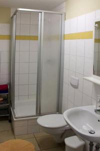a bathroom with a shower and a toilet and a sink at Ferienwohnung Apfelgarten am Pfarrgarten Starkow in Velgast