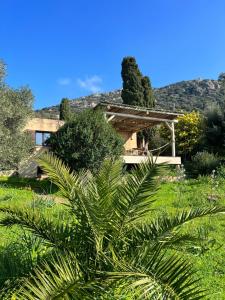 科尔巴拉Casa Rose - Maison vue mer !的一栋前面有棕榈树的房子