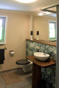 a bathroom with a sink and a toilet and a mirror at Ferienwohnung Rosengarten am Pfarrgarten Starkow in Velgast