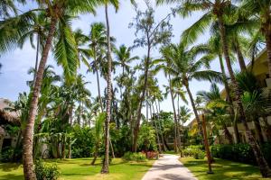 a path through palm trees at a resort at Impressive Punta Cana - All Inclusive in Punta Cana