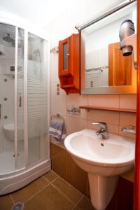 a bathroom with a sink and a shower at Hotel Adonis in Metsovo