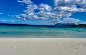 a beach with the ocean and clouds in the sky at Hotel Stefania Boutique Hotel by the Beach in Olbia