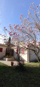 un árbol florido delante de una casa en UNE CHOUETTE MAISON, en Beaucaire