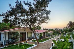 szereg domów z drzewem na pierwszym planie w obiekcie Amore Serenity Resort w mieście Arambol