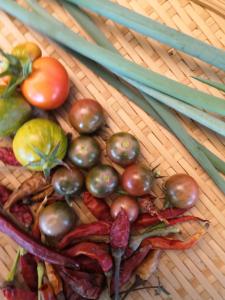 un montón de tomates y otras verduras en una mesa en Villa Ermetica, en Breil-sur-Roya