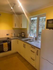 een keuken met witte kasten, een wastafel en een koelkast bij BumbleBee Lodge in Saint Cleer