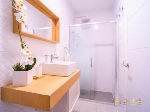 y baño con lavabo y ducha. en Cantos Apartment with Jacuzzi, en Ronda