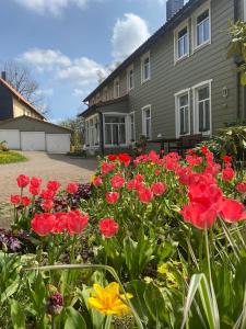 Fotografie z fotogalerie ubytování Gästehaus Harzluft / Gruppenferienhaus v destinaci Sankt Andreasberg