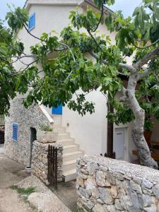ein weißes Gebäude mit Treppen und einem Baum davor in der Unterkunft House of Love Kornati in Murter