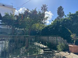 Giardino di Enjoy Home Sorrento