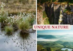 Peisaj natural din apropierea acestei pensiuni