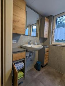 ein Bad mit einem Waschbecken, einem Spiegel und einem Fenster in der Unterkunft Ferienwohnung Bauer Alter Hammer in Schmiedefeld am Rennsteig