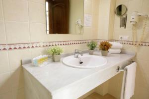 a bathroom with a sink and a mirror at Hotel San Miguel in Córdoba