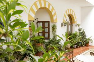 Zahrada ubytování Hotel San Miguel
