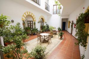 Zahrada ubytování Hotel San Miguel