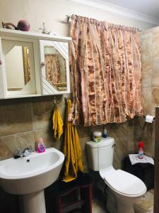 a bathroom with a toilet and a sink at The Villa in Parys +8 photos