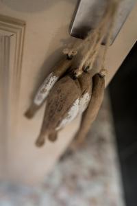 Un mucchio di banane appese a un muro di Le duplex de Lise a Honfleur