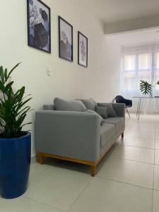 a living room with a couch and a potted plant at Apartamento próximo a uopeccan in Umuarama