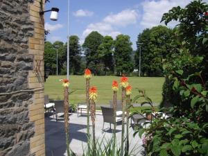 un grupo de flores en un jardín con un campo en Bronwye en Builth Wells