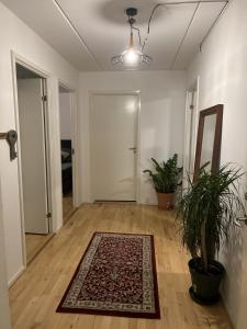 une pièce vide avec une porte et un tapis au sol dans l'établissement 2 room and 1 living room charming family-friendly places, à Copenhague
