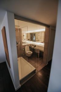 a bathroom with a toilet and a sink and a mirror at Design Hotel & Restaurant Löwen in Ulm