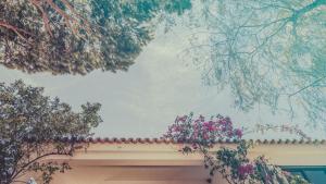Fotografie z fotogalerie ubytování Pine House - Faro Airport, Beach and City Center v destinaci Faro