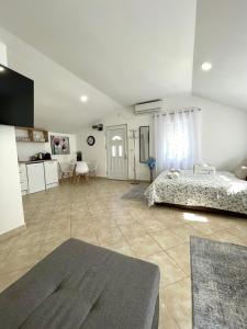 a large room with a bed and a kitchen at Apartments Pribilovic in Budva