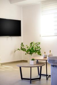 Μια τηλεόραση ή/και κέντρο ψυχαγωγίας στο Antheon Apartment 2