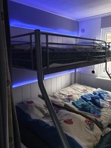1 Schlafzimmer mit 2 Etagenbetten mit blauem Licht in der Unterkunft Ferienhaus in Sassnitz - klein aber fein bis 4 Personen in Sassnitz