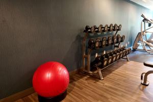 a gym with a red ball and weights at Hampton Inn Flemington in Flemington