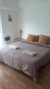 a large bed with two pillows on top of it at Departamento Céntrico Zona Basílica de Luján in Luján