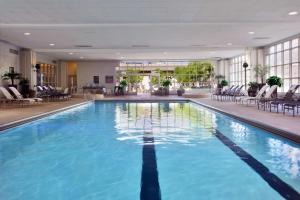 a large swimming pool in a hotel lobby at Hilton Chicago in Chicago