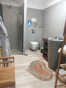 a bathroom with a shower and a toilet and a rug at Cœur d’arty show in La Garonnette-Plage