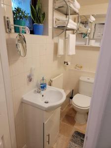 a bathroom with a white sink and a toilet at Hidden Gem in Eastbourne
