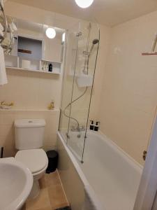 a bathroom with a shower and a toilet and a sink at Hidden Gem in Eastbourne