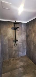 uma casa de banho com um chuveiro e uma prateleira na parede em Campsite Ģirti em Bernāti