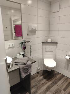 a bathroom with a toilet and a sink and a mirror at Hotel Gästehaus Stock Zimmer Brotkörble in Friedrichshafen