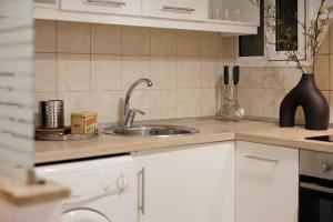 Kuchyň nebo kuchyňský kout v ubytování Zampeli Apartment
